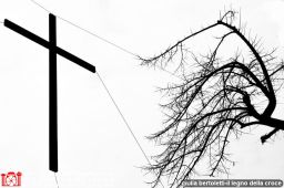 giulia bertoletti-il legno della croce